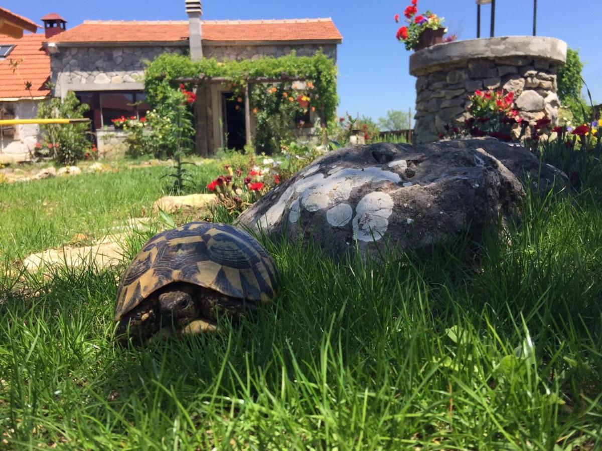 Vila Kuca Za Odmor Joko I Jeka Bogatić Exteriér fotografie
