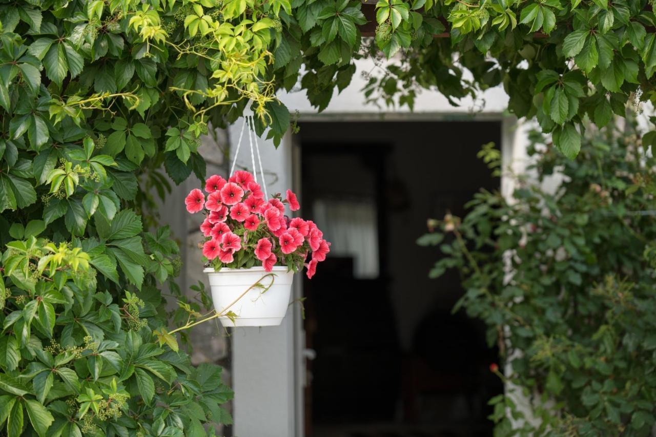 Vila Kuca Za Odmor Joko I Jeka Bogatić Exteriér fotografie